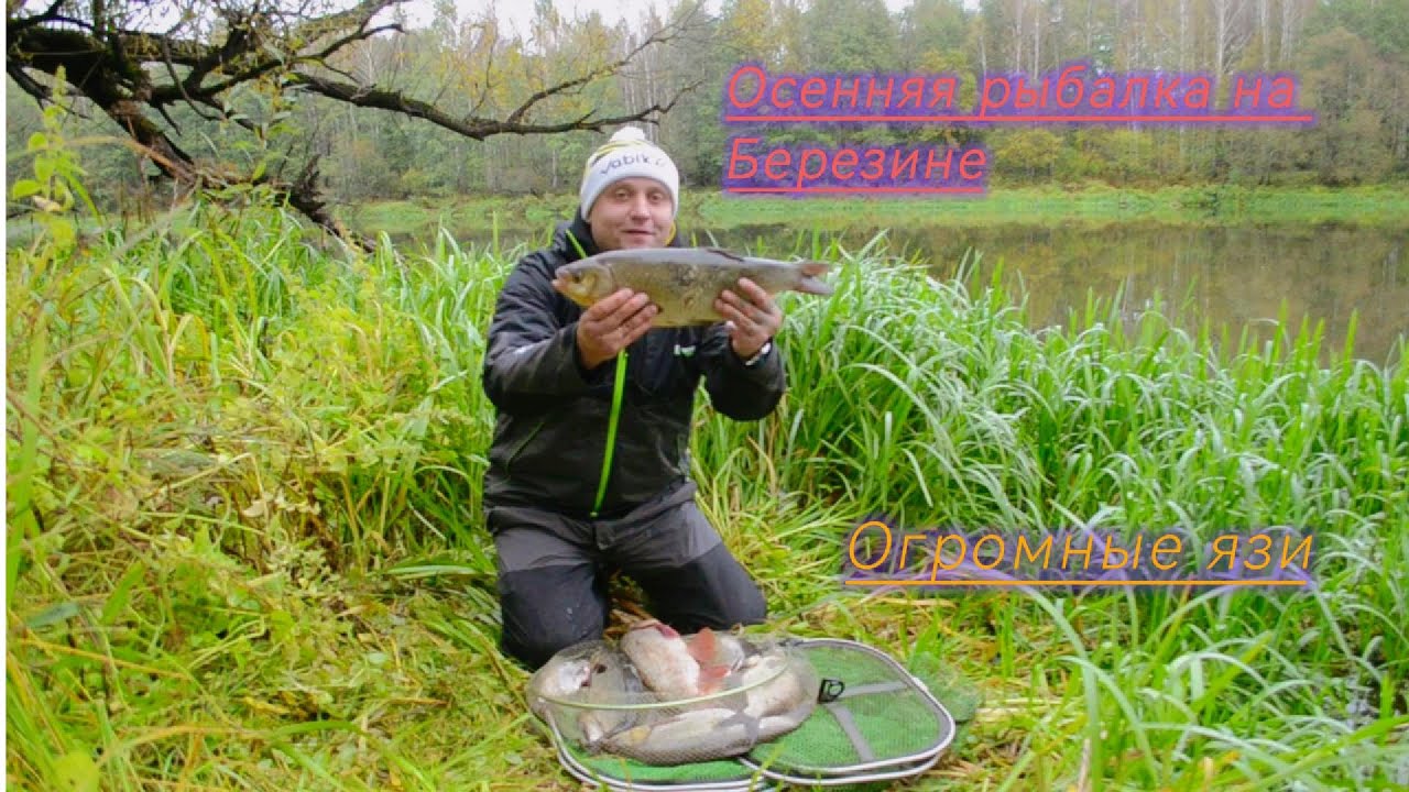 Осенняя рыбалка на Березине