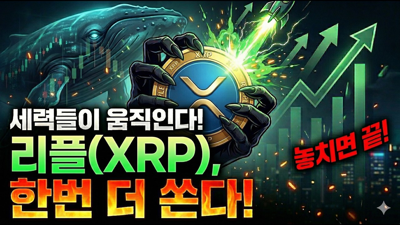 [리플코인 전망] 결국 세력들이 