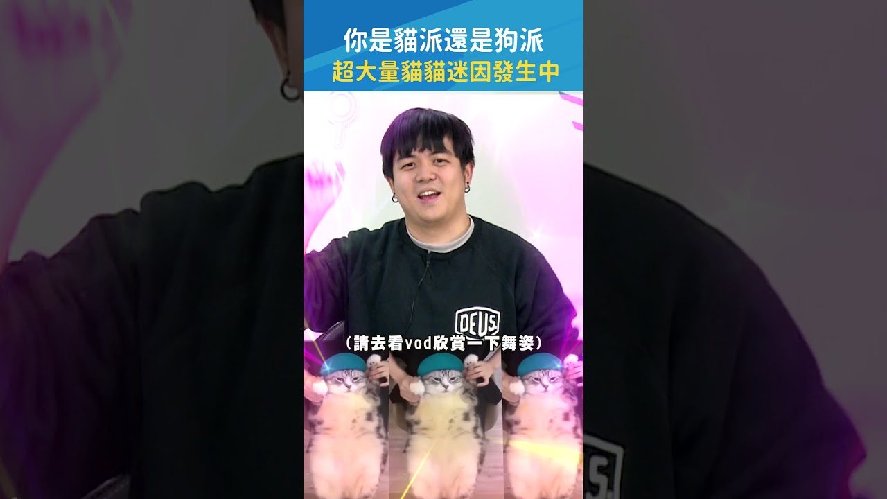 #貓貓迷因王 6tan 🐱你能答對幾個呢🐈？ #貓咪 #迷因 #memes #shorts｜#現在宅知道 20250319