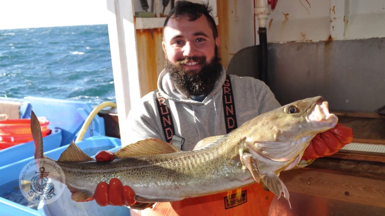 January 2017 Gulf of Maine Video Survey Trawl - topside slideshow