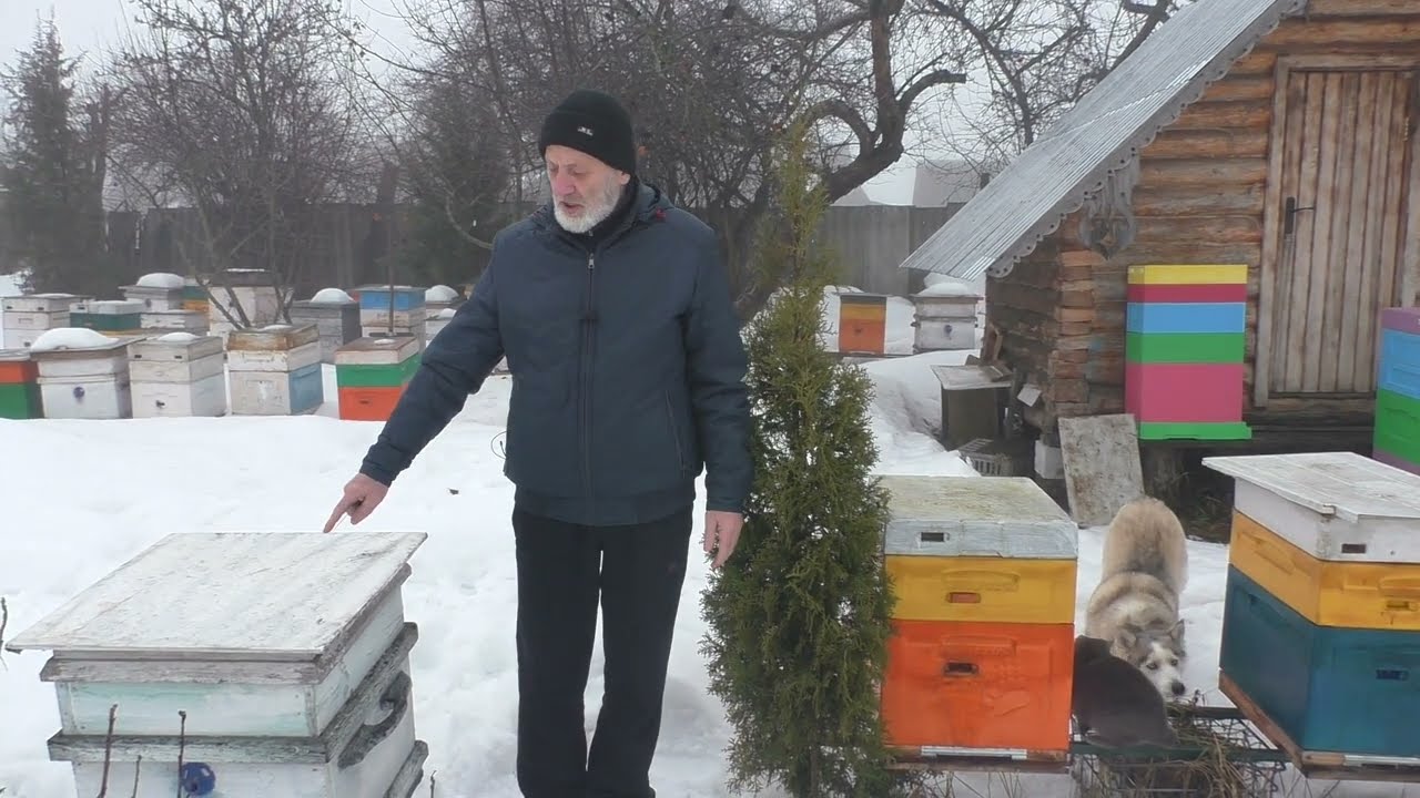февраль. РАБОТЫ на ПАСЕКЕ перед ВЕСЕННИМ ОБЛЁТОМ ПЧЁЛ