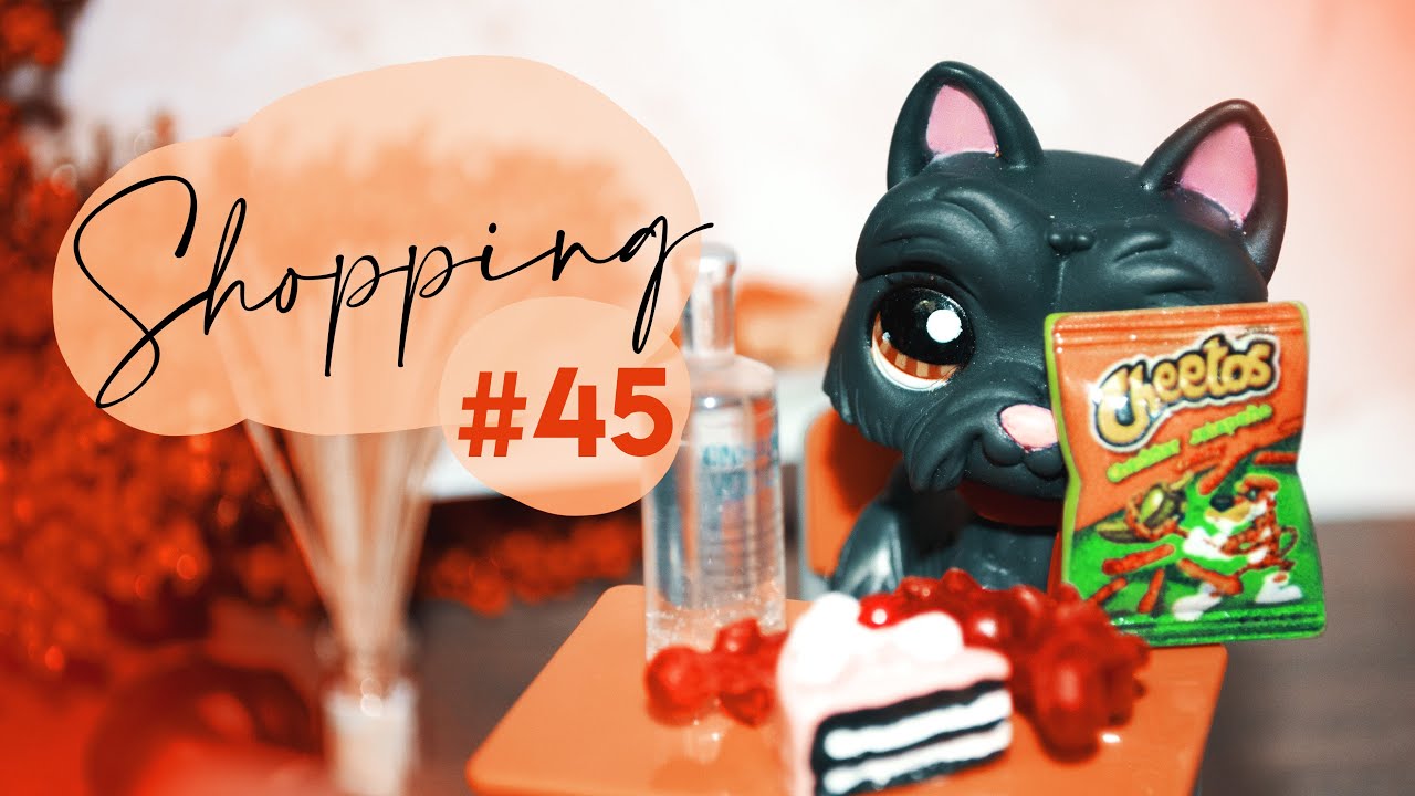 LPS: Shopping #45 | package from unfulfilled lpstuber-