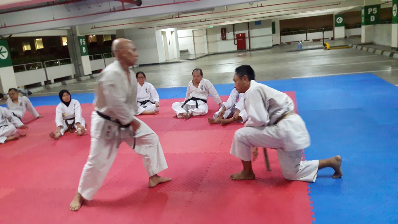 BUNKAI KATA SEINCHIN PRACTICE