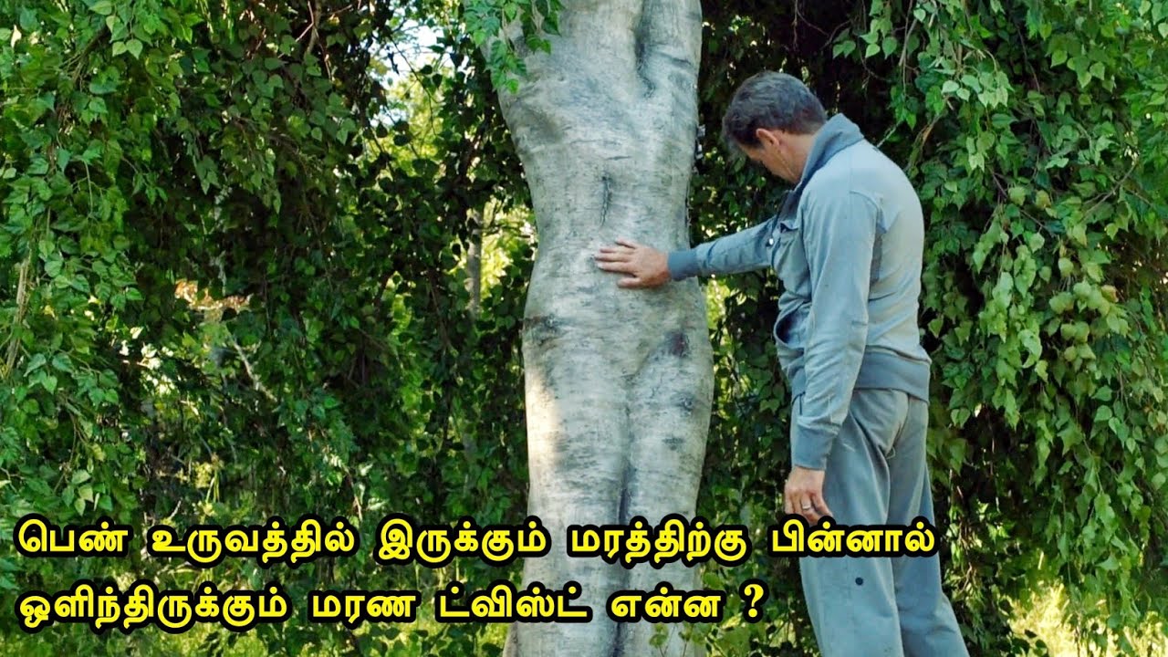 ஏரி பேயும் கொடூர சாபமும் | Tamil hollywood times | tamil story explanation |