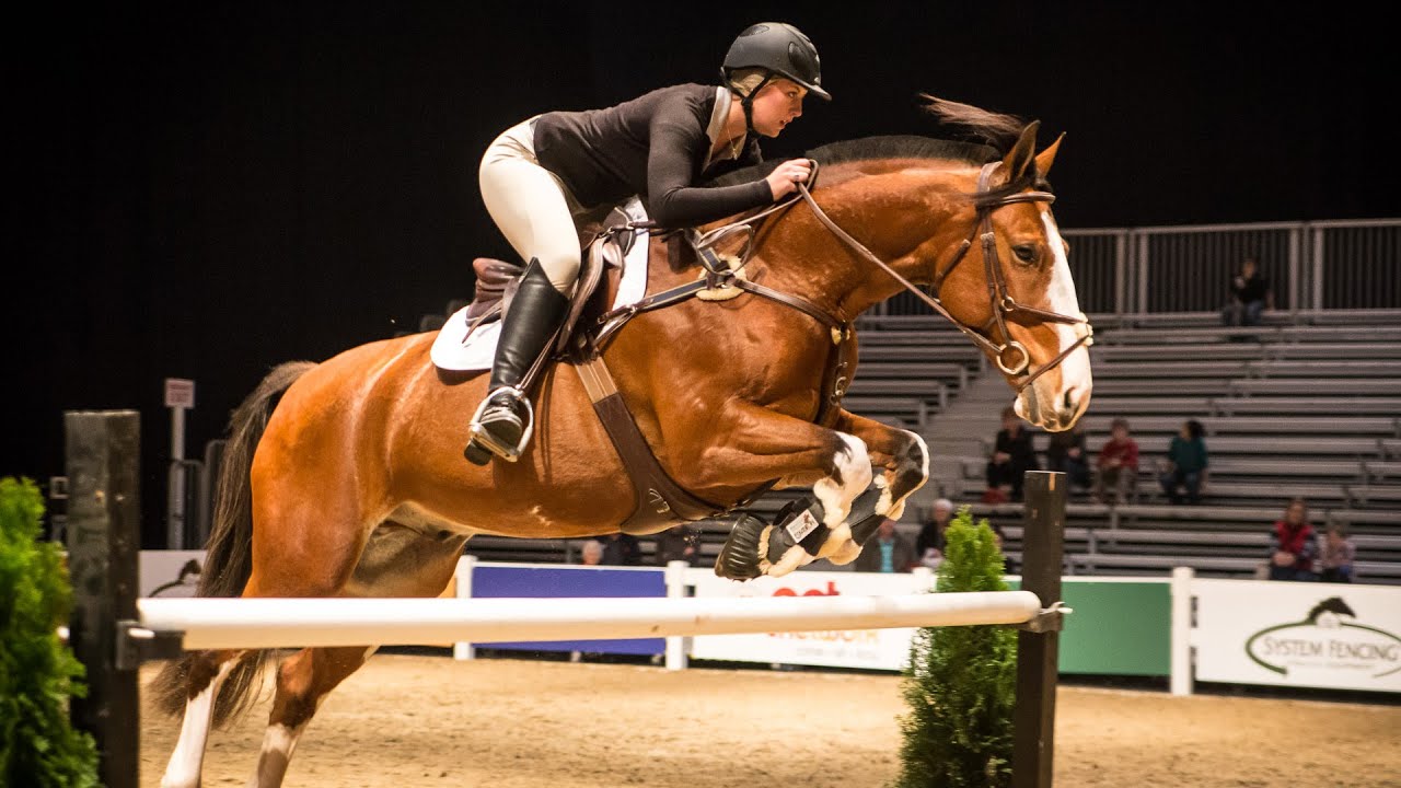 Royal Winter Fair is Toronto massive indoor agricultural fair