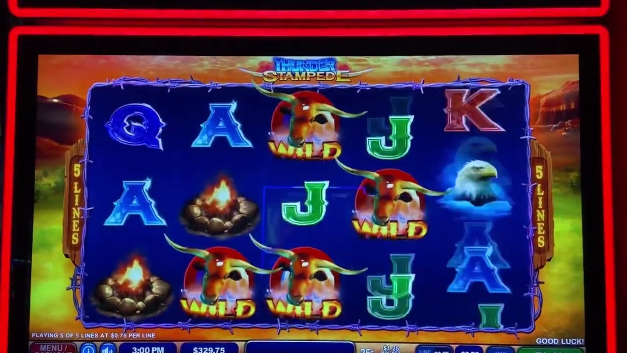 Most Hated Guy on VLTs!!! Thunder Stampede Bonus!!!