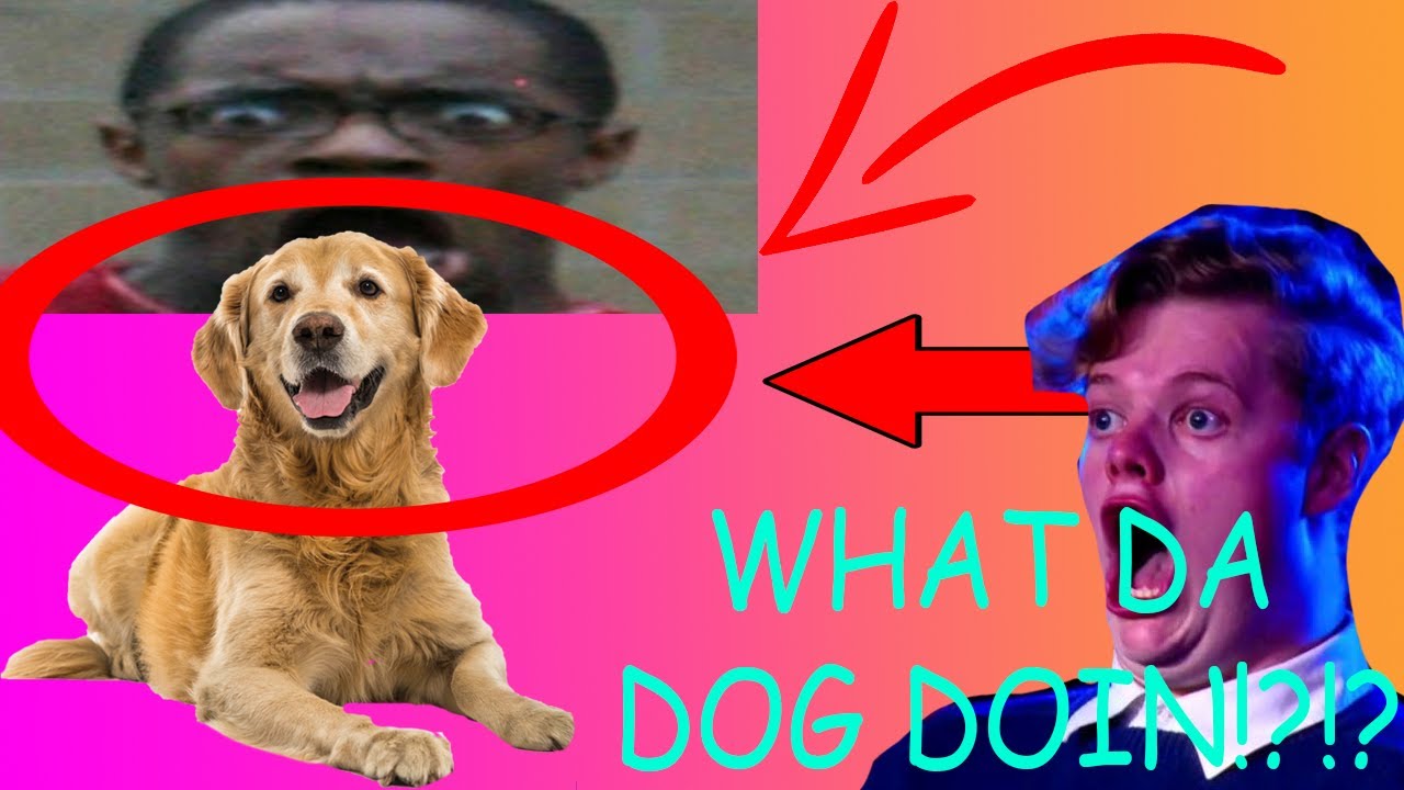 Dog-Owners of Reddit, what is a time your dog saved you? AskReddit