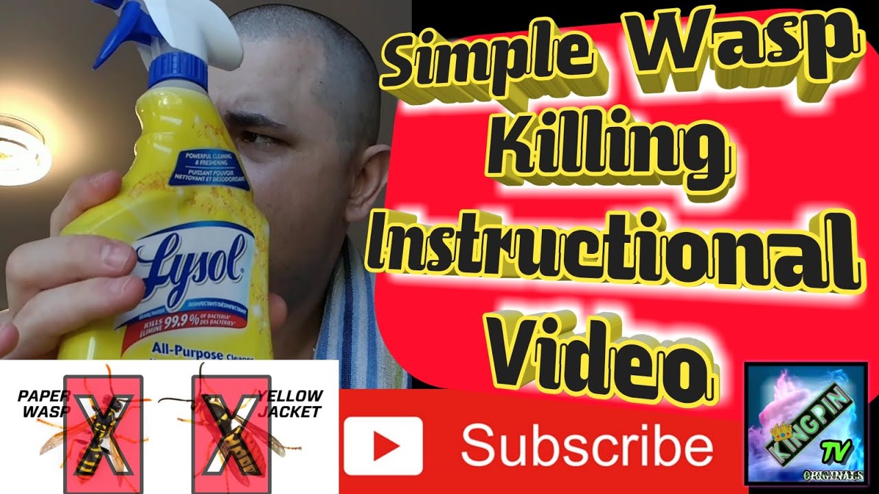 🐝🚫Wasp Exterminator🚫🐝 | Part 1 (4K)