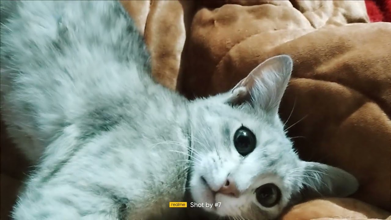 # masti# with chiku#😎