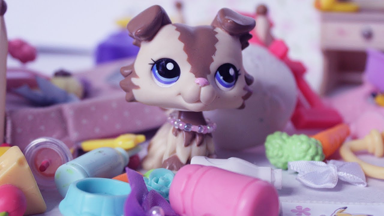 LPS Tidy Your Room! Littlest Pet Shop Skit