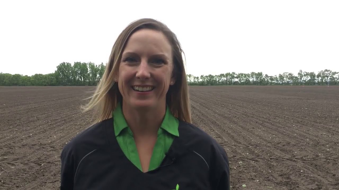 Nuseed U.S. & Canada - Sunflower Confection Planting Success