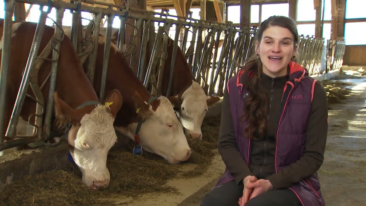 Steirische Landwirtschaft: Hofheldinnen 2025