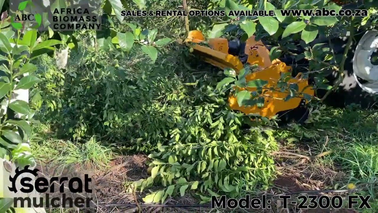 Serrat mulcher T 2300 FX process prunings, grass and cover crops in Orchards and vineyards