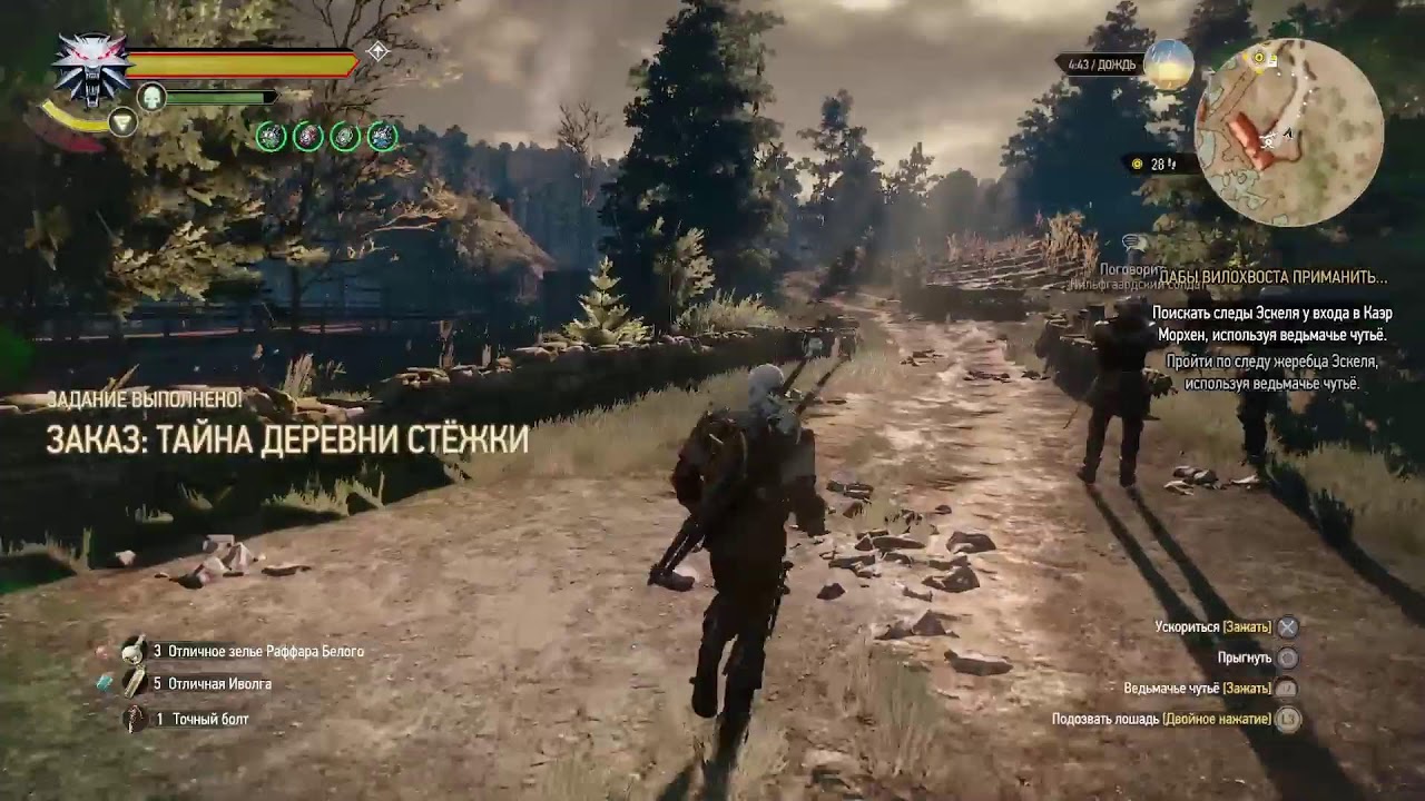 Ведьмак дикая охота