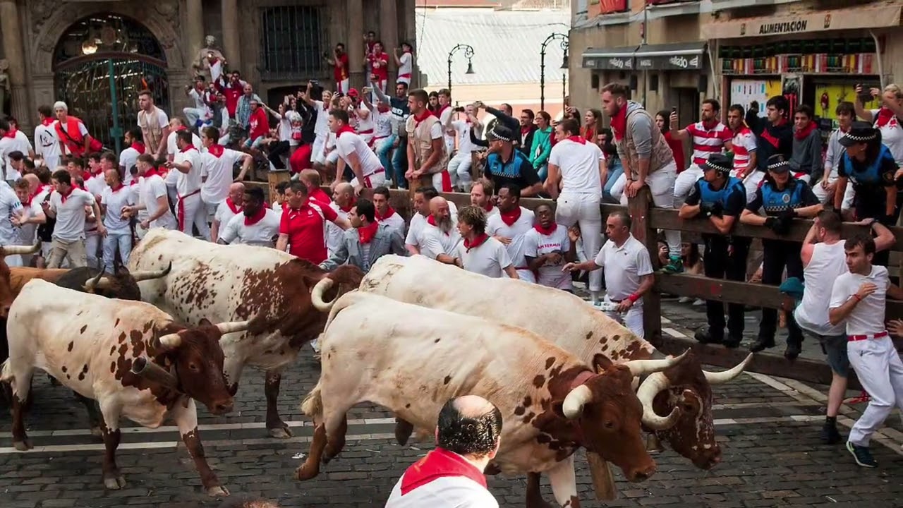 Traditional Spanish bull fight 
