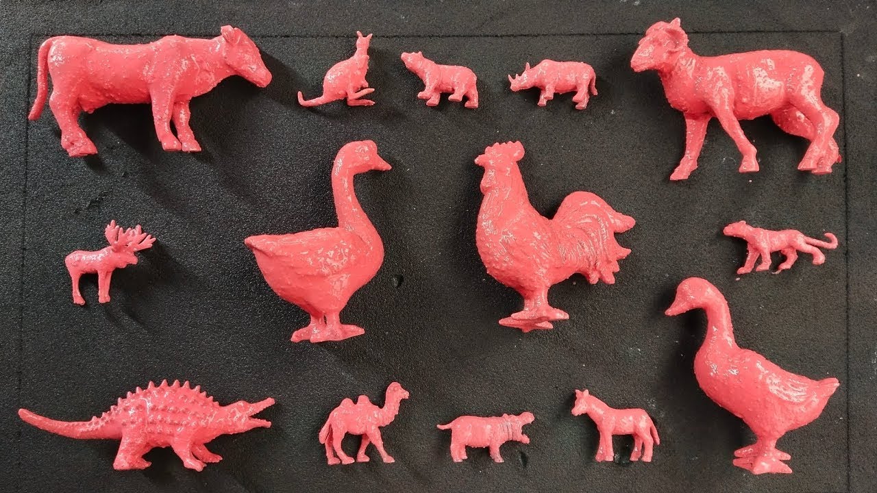 Membersihkan hewan sapi, bebek, angsa, ayam, kambing, badak, beruang, gajah, kudanil, unta, rusa