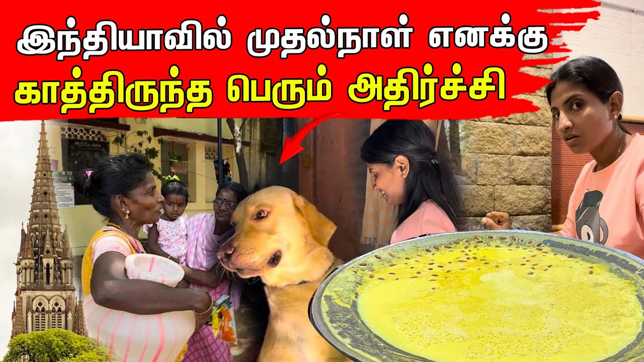 தீடீரென சந்தித்த போது ஈழத்தமிழ் மக்களின் அவல நிலை🥹 | Tamil