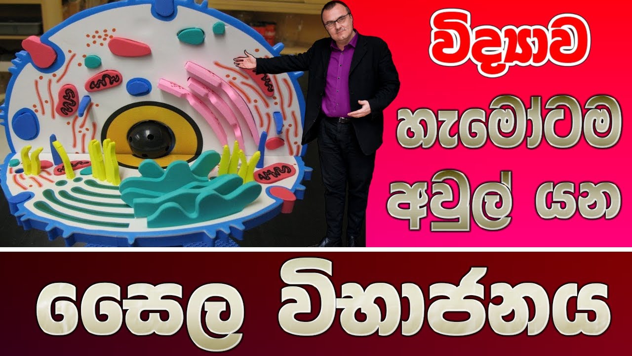 Grade 10 Science - ශාක හා සත්ත්ව සෛලවල ව්‍යුහය හා  කෘත්‍ය (6 පාඩම)