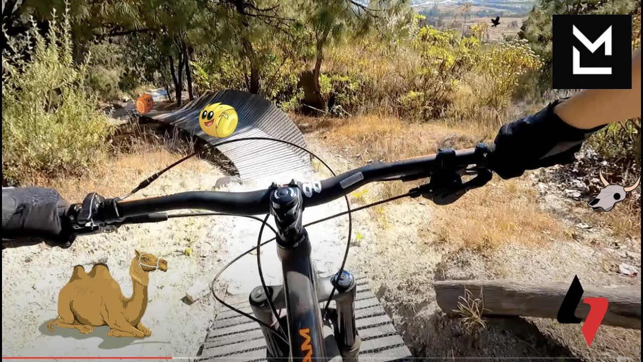 Arenosas 2022 Bosque de la Primavera 2.7k | #4k #GoProHero9