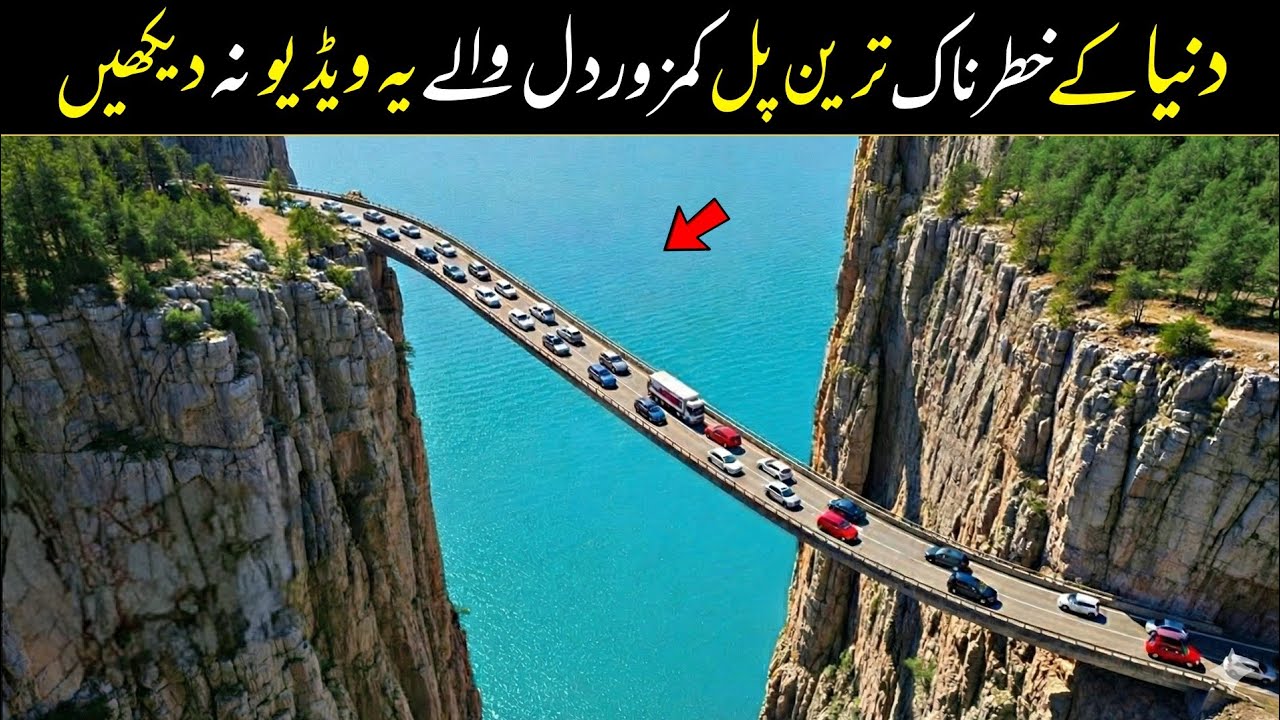 China's Impossible Mega Bridge | Why US Engineers Are Shocked by China’s New Mega Bridge?