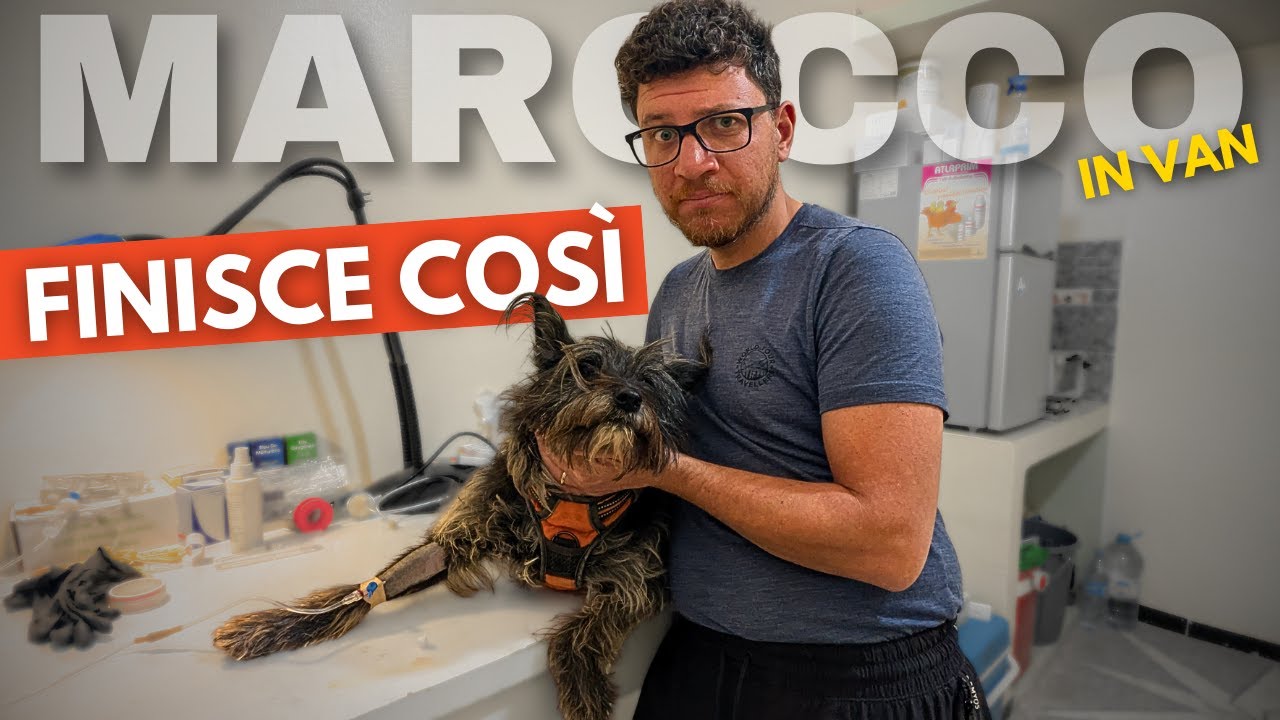 DOBBIAMO FERMARCI: il nostro cane ha bisogno di cure - MAROCCO ON THE ROAD