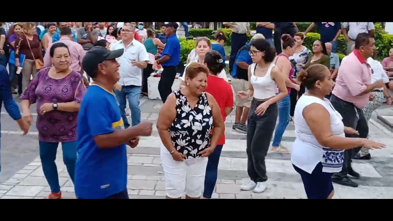 La avispa 🐝🐝  MARIMBA USULA