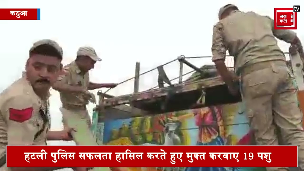 पुलिस ने फिर नाकाम की पशु तस्करी की कोशिश, 19 पशु करवाए मुक्त, 2 गिरफ्तार