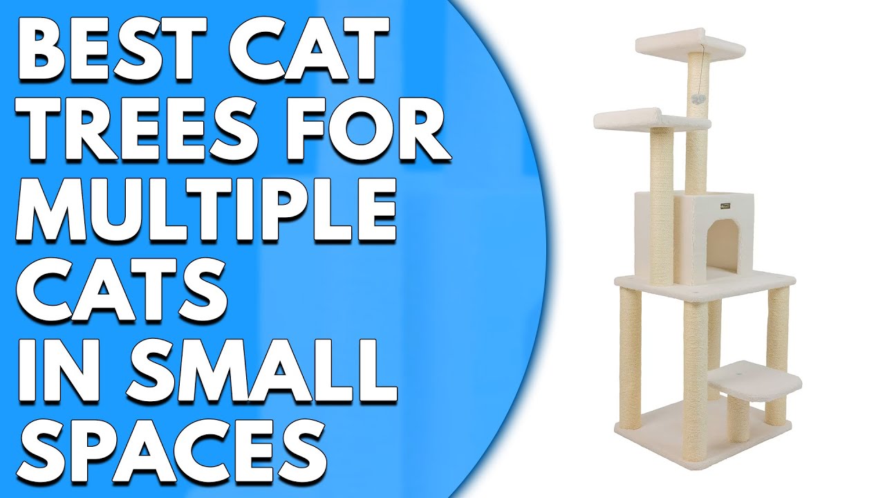 Best Cat Trees for Multiple Cats in Small Spaces: Our Top Picks