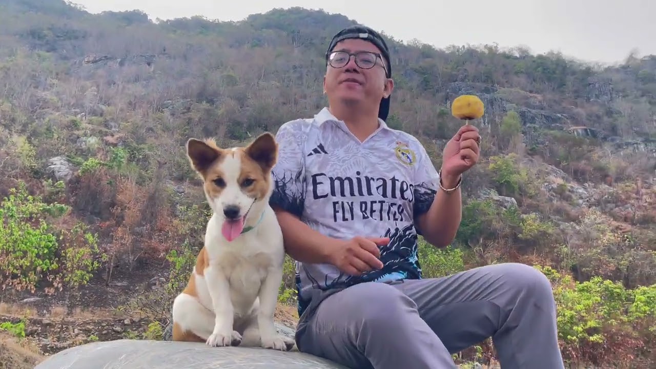 SurvivalSkills:SMART ideas and USEFUL brothers with dog Eating fruit #youtube #mukbang #campping #🍋🥑