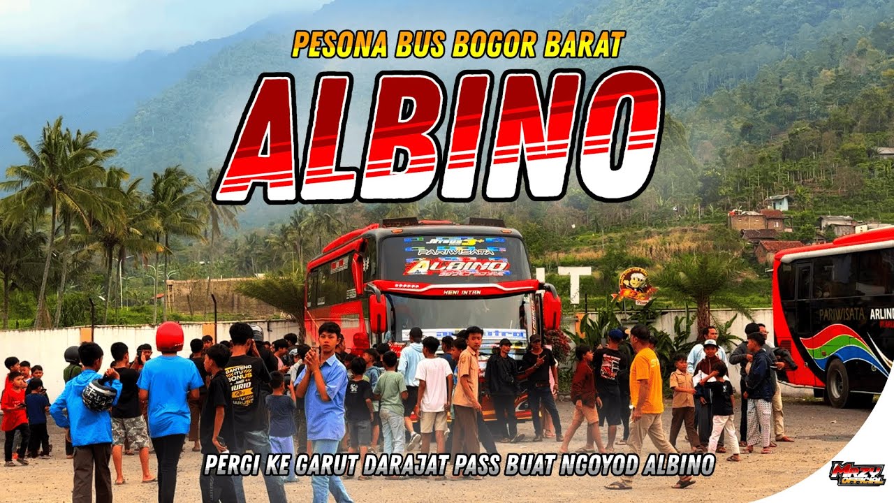 SERUNYA ALBINO GEMPARKAN JALANAN GARUT❗❗❗