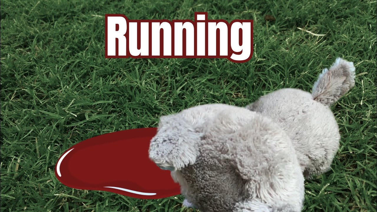 The Wild coast (episode 3 Running) BLOOD WARNING
