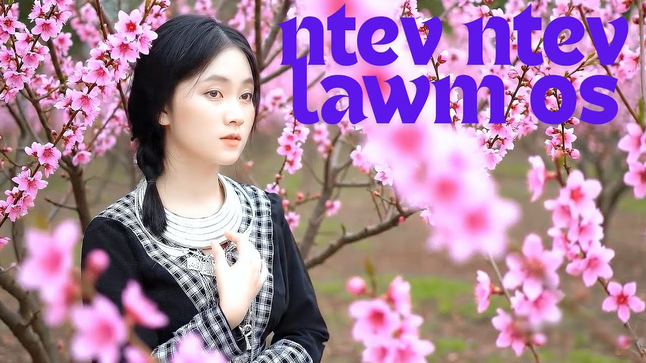 ntev ntev lawm os ua kuv tsi tau ntsib koj hót tiktok#cover #hmoobtxojkevuaneej
