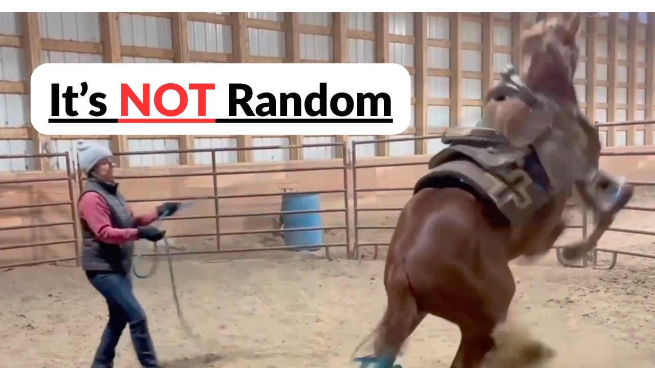 Why This Horse Bucks & Bolts Out of Nowhere