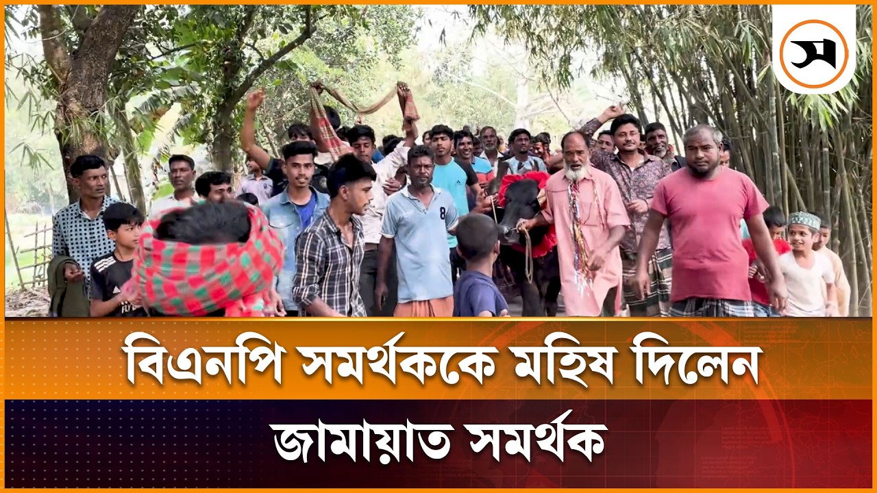 শেরপুরে হেরে গিয়ে বিএনপি সমর্থককে মহিষ দিলেন জামায়াত সমর্থক | Sherpur | Samakal News