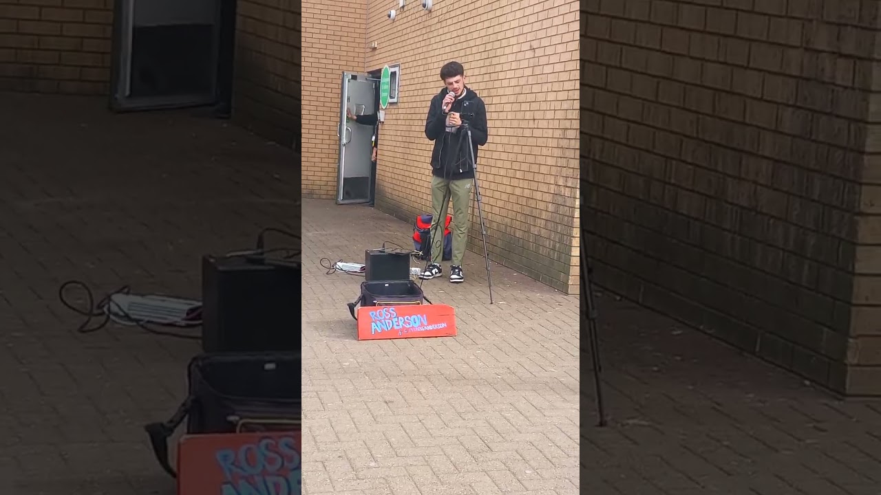 lewis capaldi cover of bruises by Ross Anderson