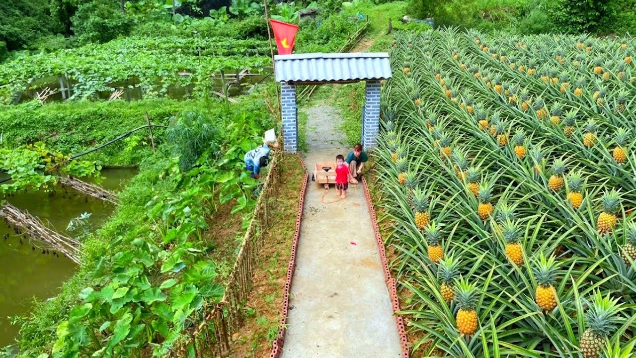 A small family and a real-life paradise amidst the green forest. Peace and happiness