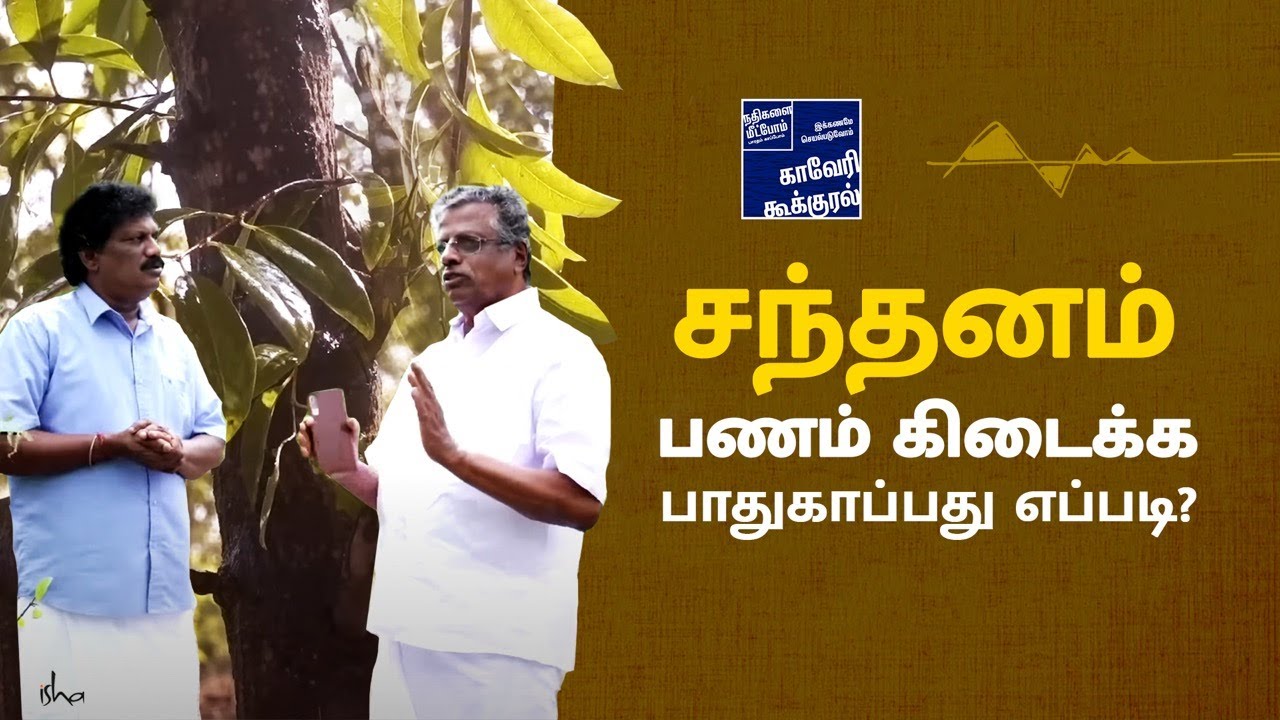 சந்தன மரம் -  நான்கு அடுக்கு பாதுகாப்பு செய்வது எப்படி?