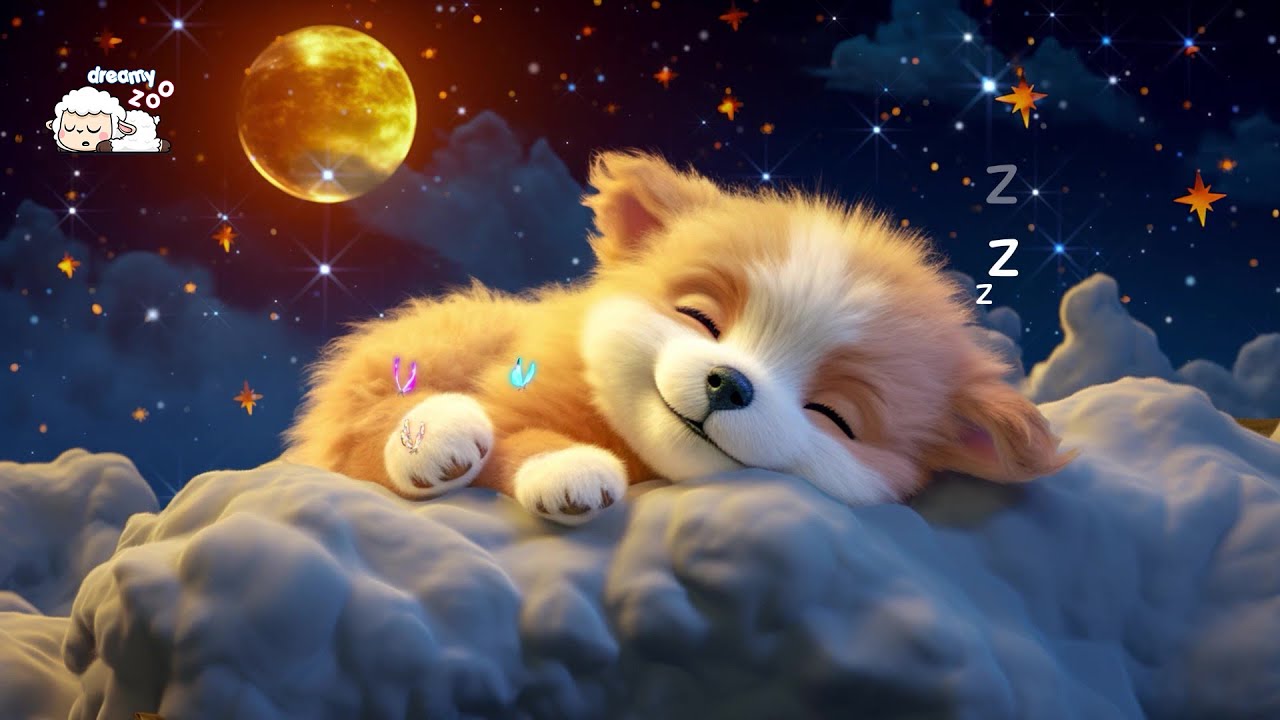 Piano tranquilo para un sue&ntilde;o relajante 💤 Sue&ntilde;o tranquilo y de ensue&ntilde;o