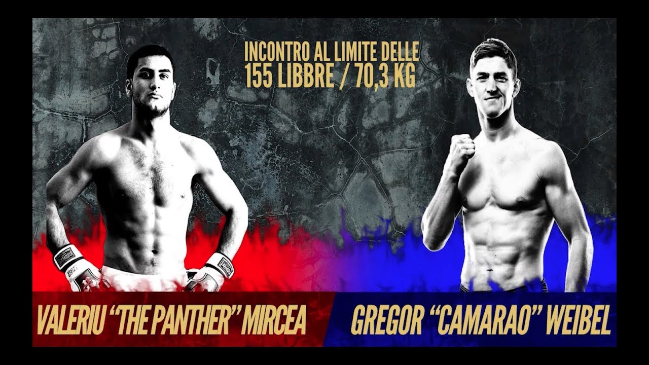 VENKON FIGHT NIGHT 2 - Valeriu Mircea vs Gregor Weibel