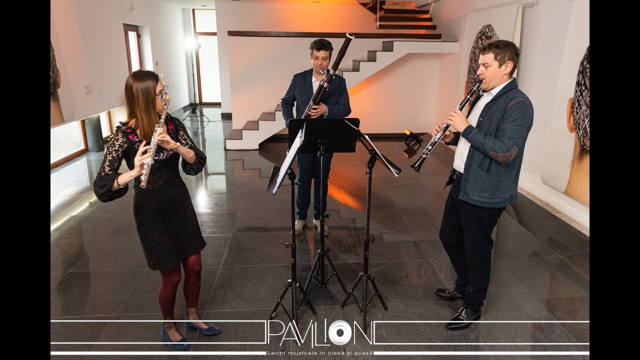 Pavilion Muzical 2021 R. Ilovan, R. Poptean, R. Sângeorzan - Instrumentele de suflat - Episodul #6