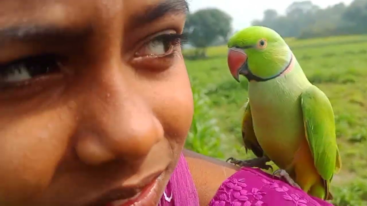 মিঠু মশাই কে নিয়ে আজকে পরিদর্শন করলাম আমাদের ক্ষেত 😊❤️