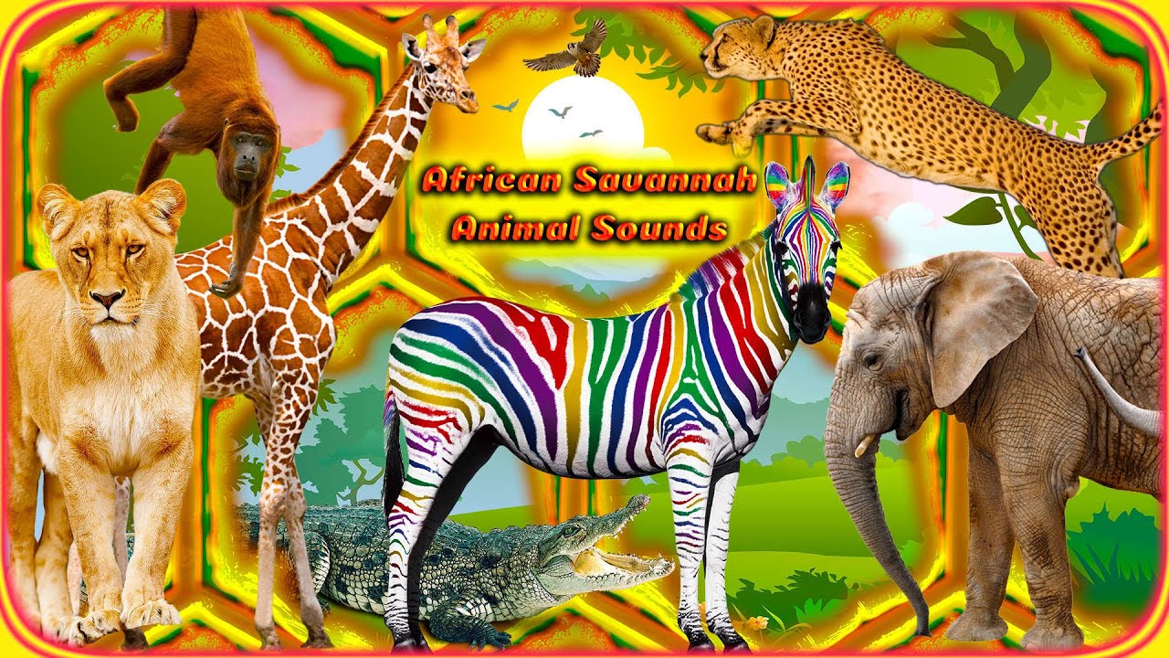 African Savannah Sounds &bull; Animal Sounds &bull; Crocodile, Lion, Antelope, Hippo, Hyena, Giraffe, Zebra...
