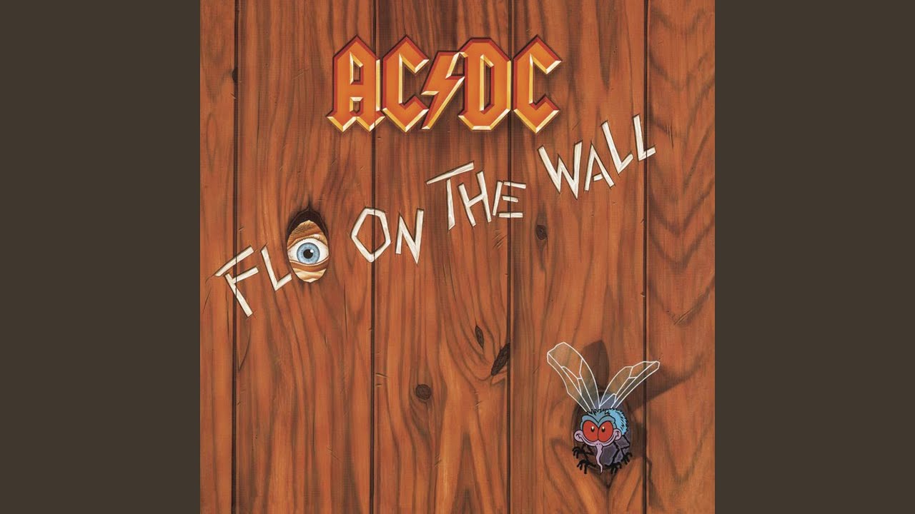 Fly on the Wall