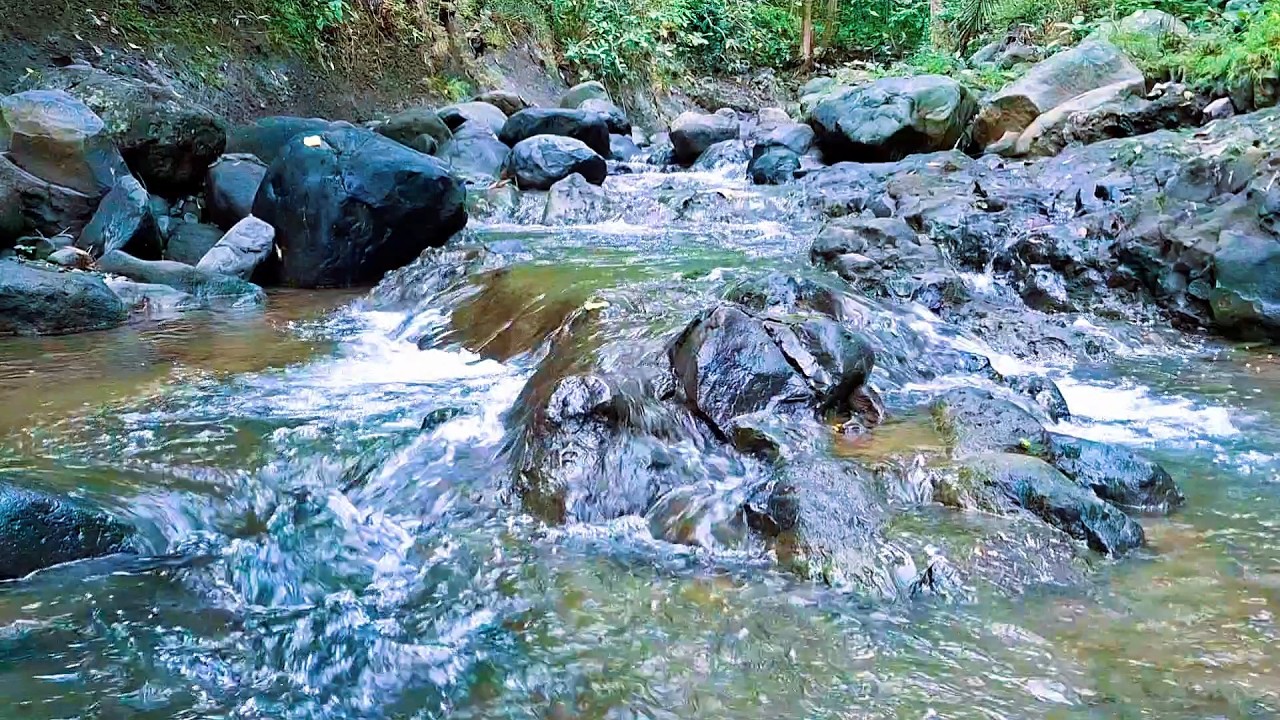 Forest River Flow for Deep Calm
