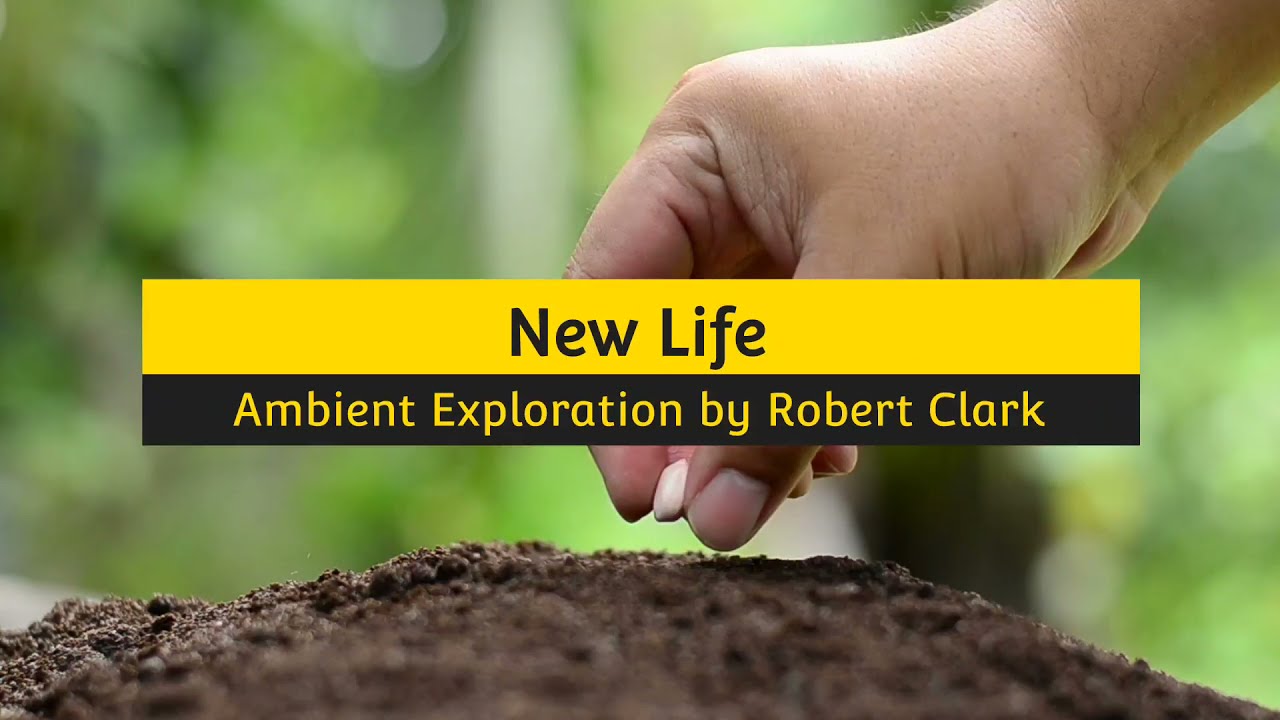 🧬New Life 🧬//An Ambient Guitar exploration of emotional sound...by Robert M Clark..