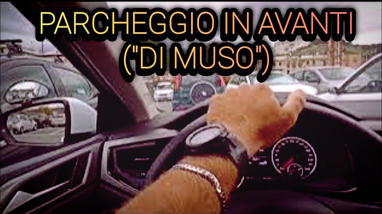 PARCHEGGIO IN AVANTI  (DI MUSO)