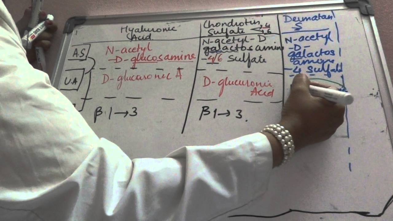 Biochemistry of Glycosoaminoglycans