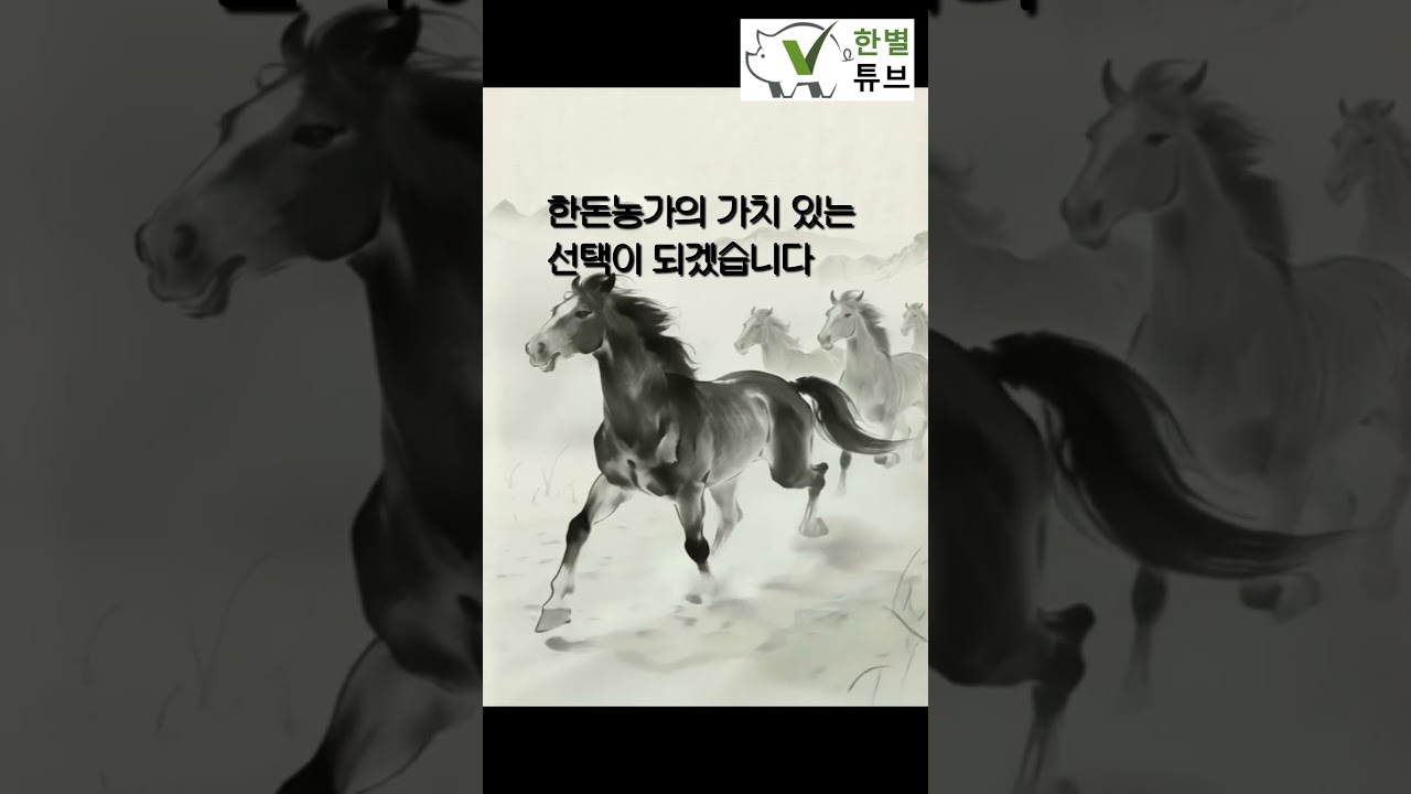 2026년에도 함께여서 고마워요. 구독과 좋아요는요?(Thank you for being part of our journey in 2026) #2026새해인사 #새해복많이받으세요