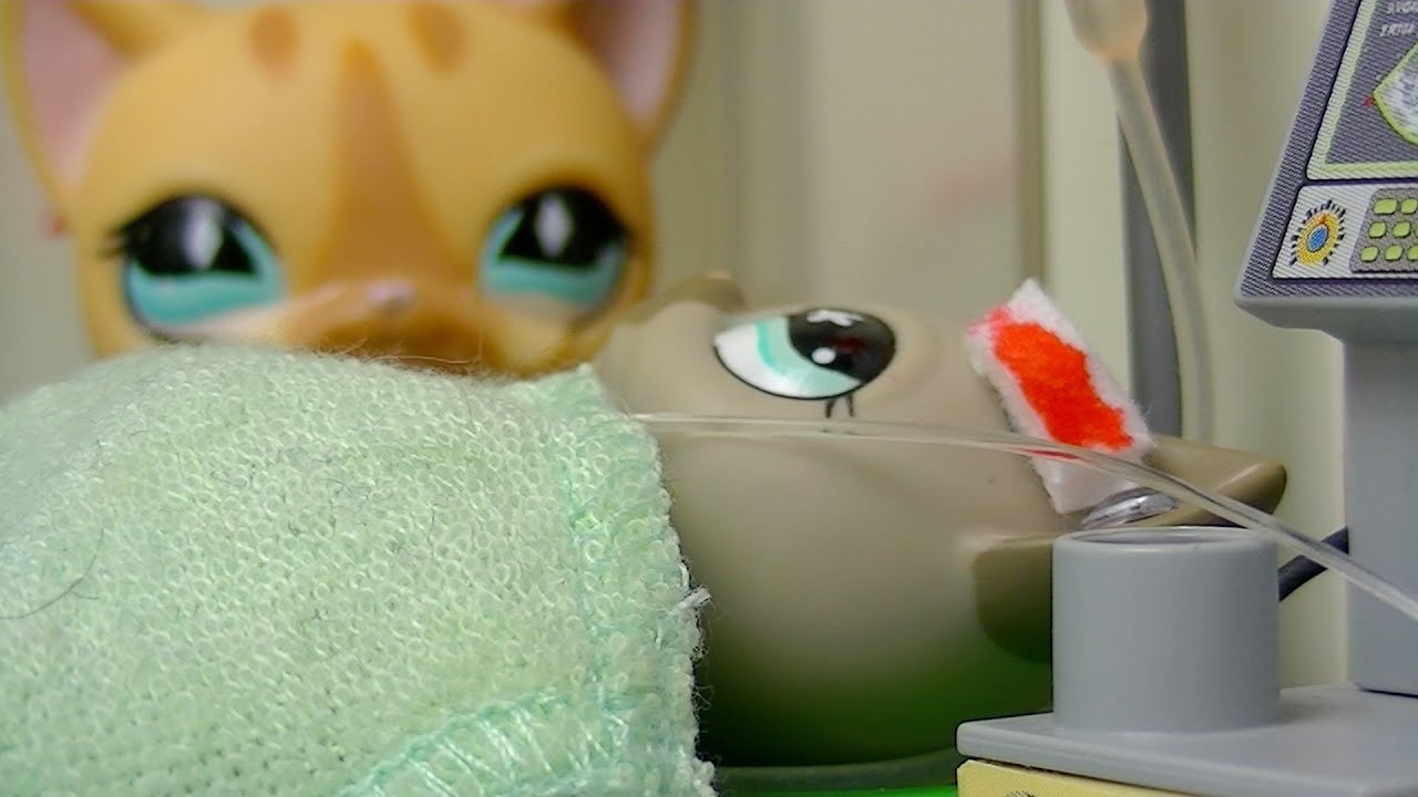 ★ LPS Double Trouble - Episode 12 (Chance) SERIES FINALE ★