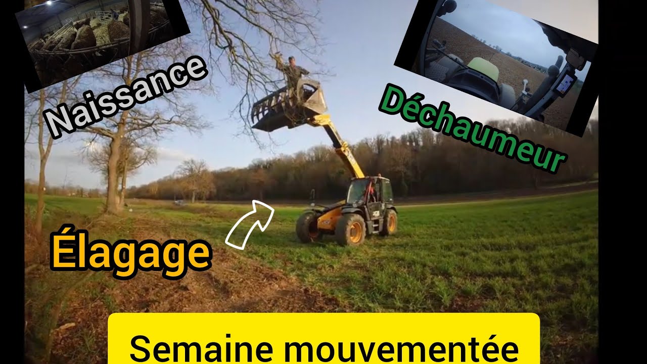 semaine mouvementée